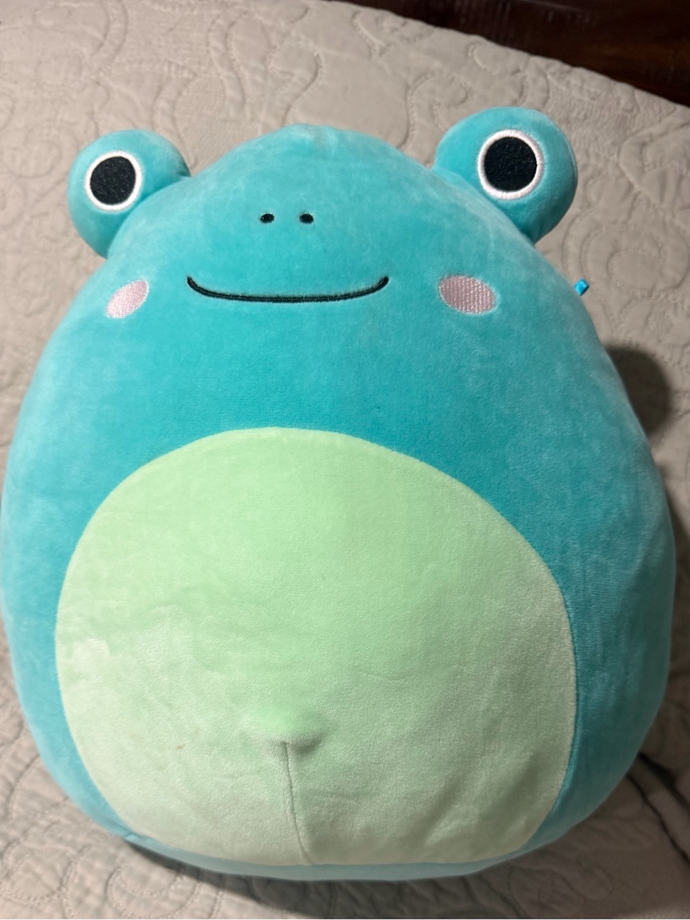 Frog Squishmallow
